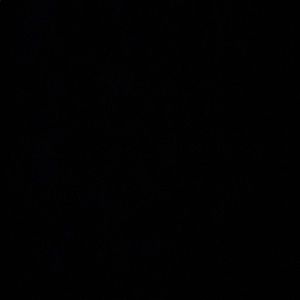 Meet your Posher, Raven